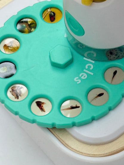 Lovevery Toy Microscope Insect Specimen Set
