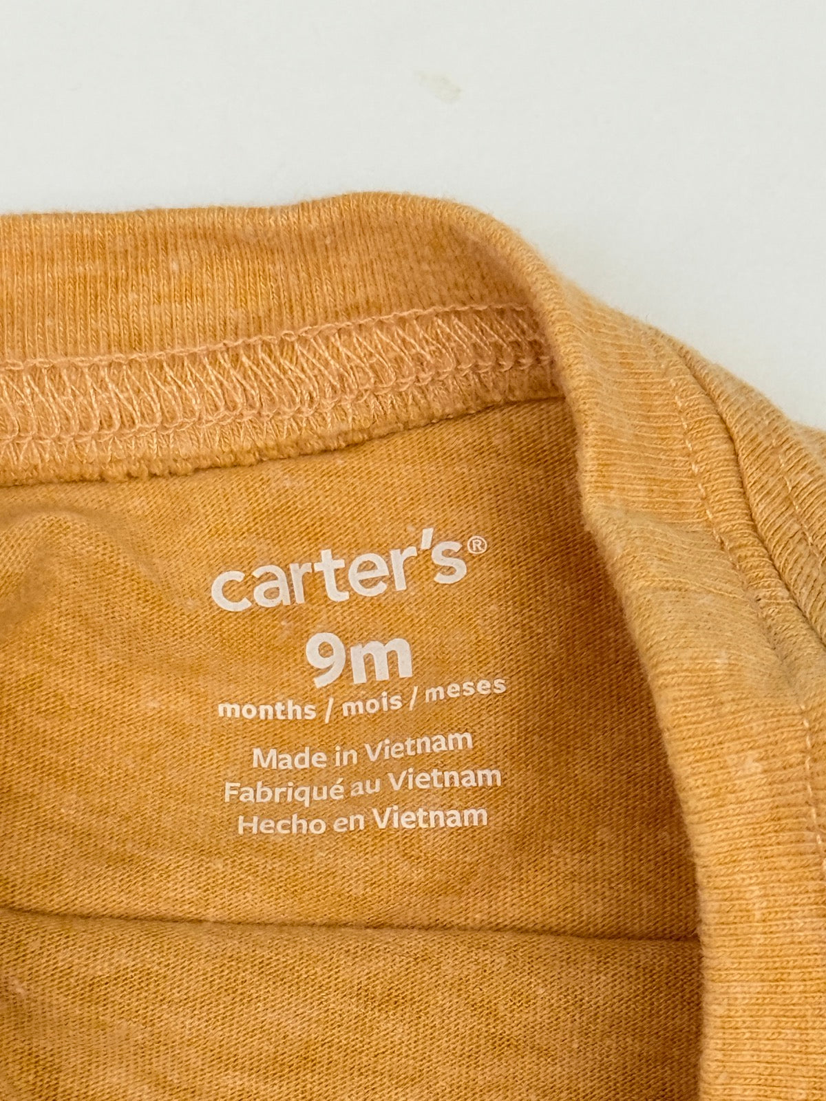 Carter's Lion Graphic Long Sleeve Tee 9M