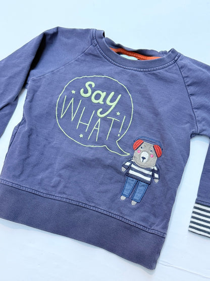 Lilly + Sid Say What Bear Sweatshirt 2-3Y