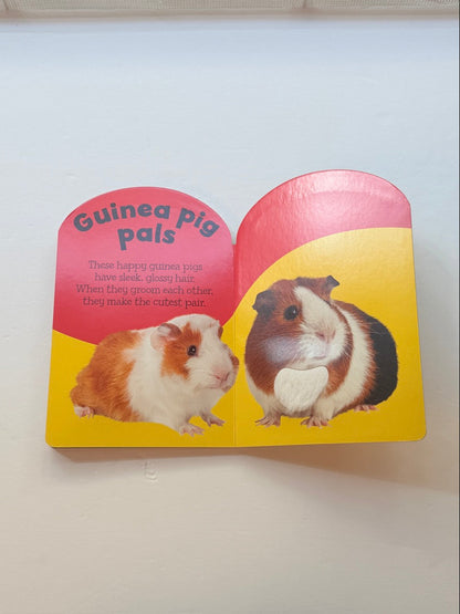 Baby Animals Touch and Feel Board Book