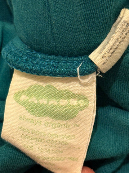 Parade Organics Teal Harem Pants Toddler