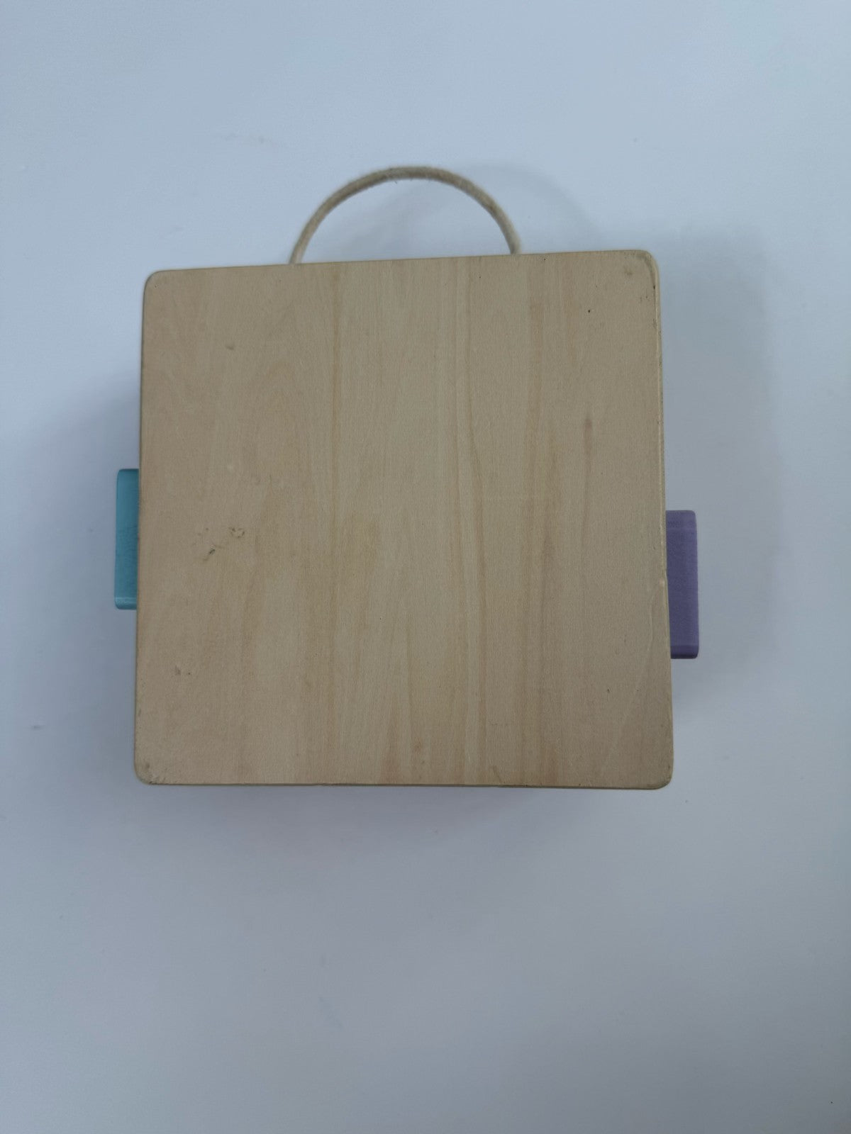 Panda Crate Wooden Shape Toy
