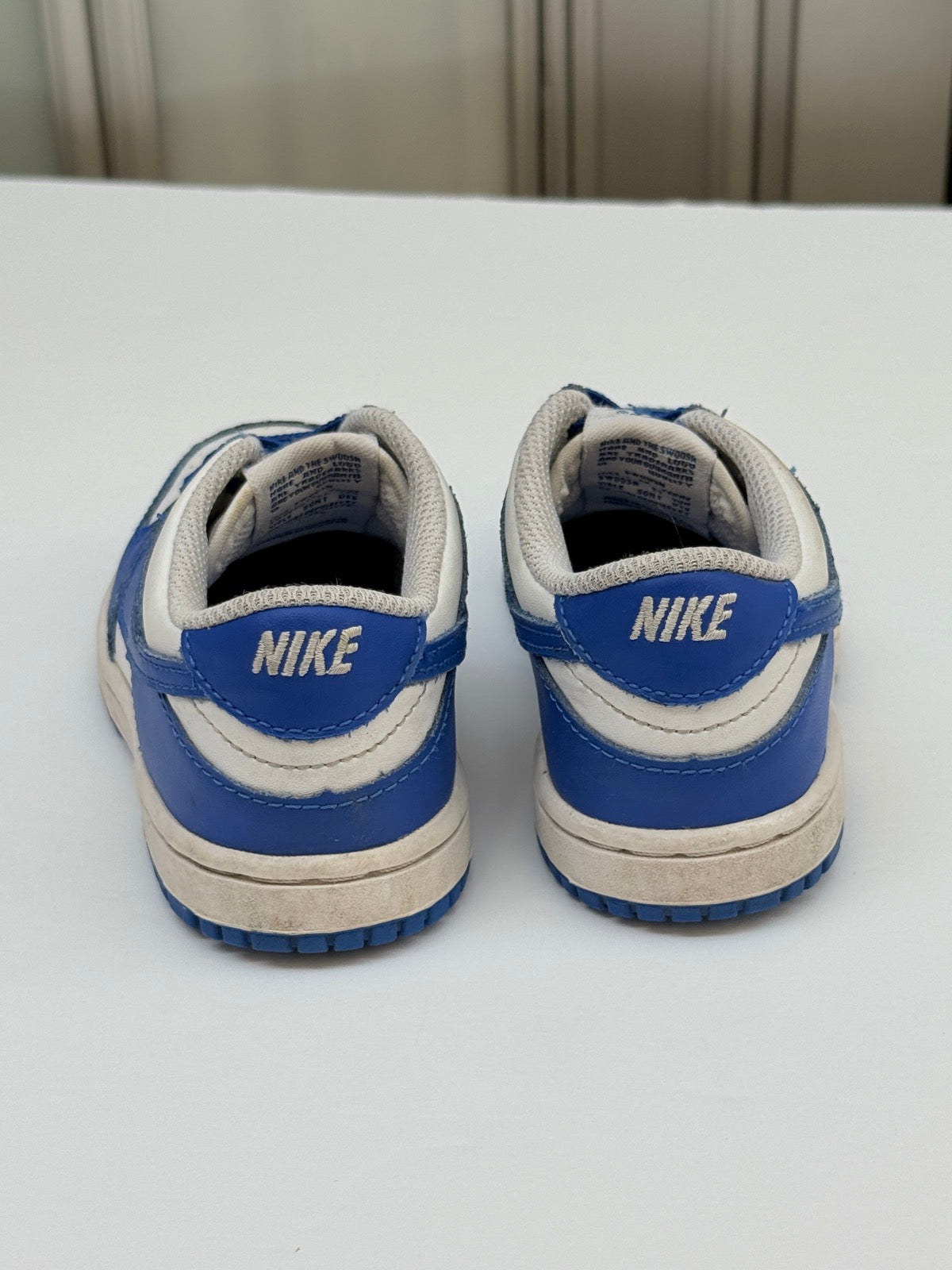 Nike Dunk Low Toddler Shoes Size 10C