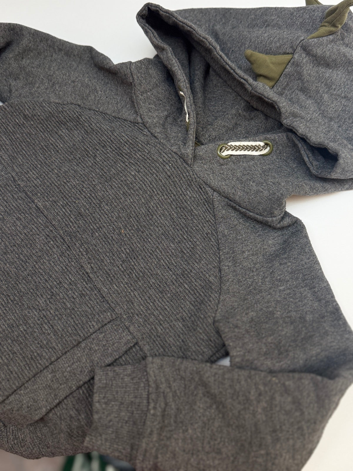 Tommy Bahama Dinosaur Hoodie 18M