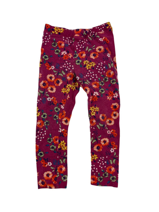 Gymboree Baby Floral Leggings 2T