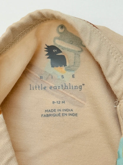 Little Earthling Frog Print Bodysuit 9-12M