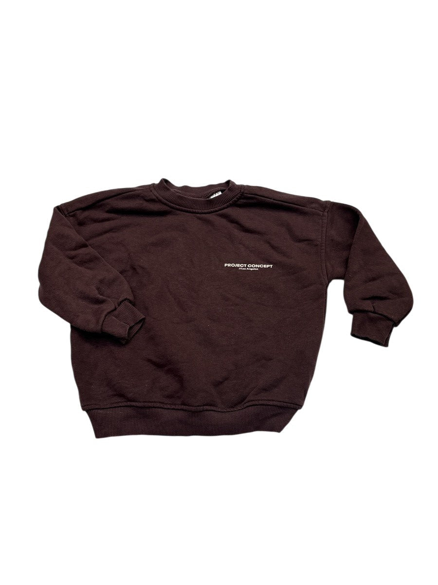 Zara Project Concept Brown Sweatshirt 4T