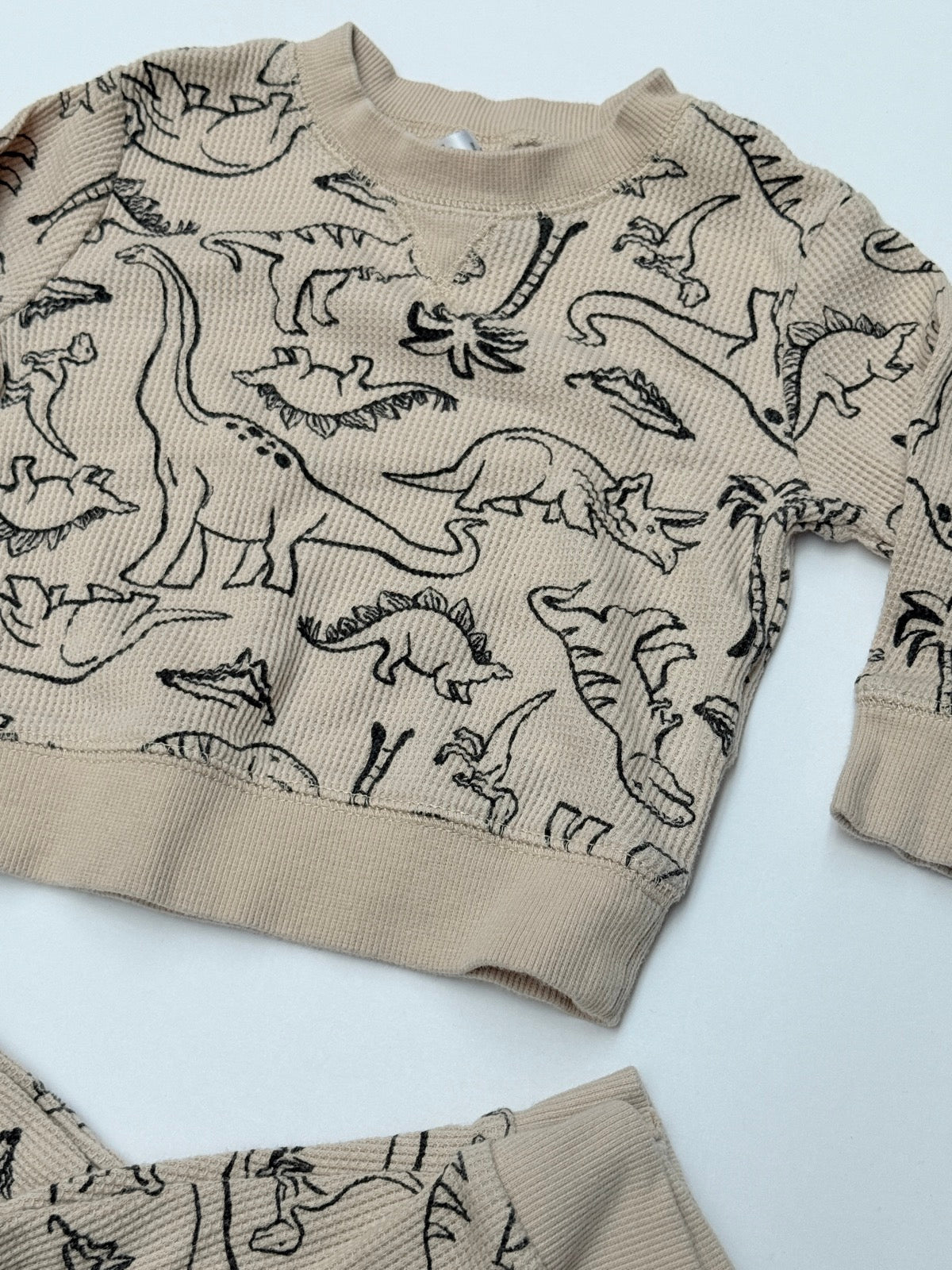 Carter's Dinosaur Thermal Set 6M