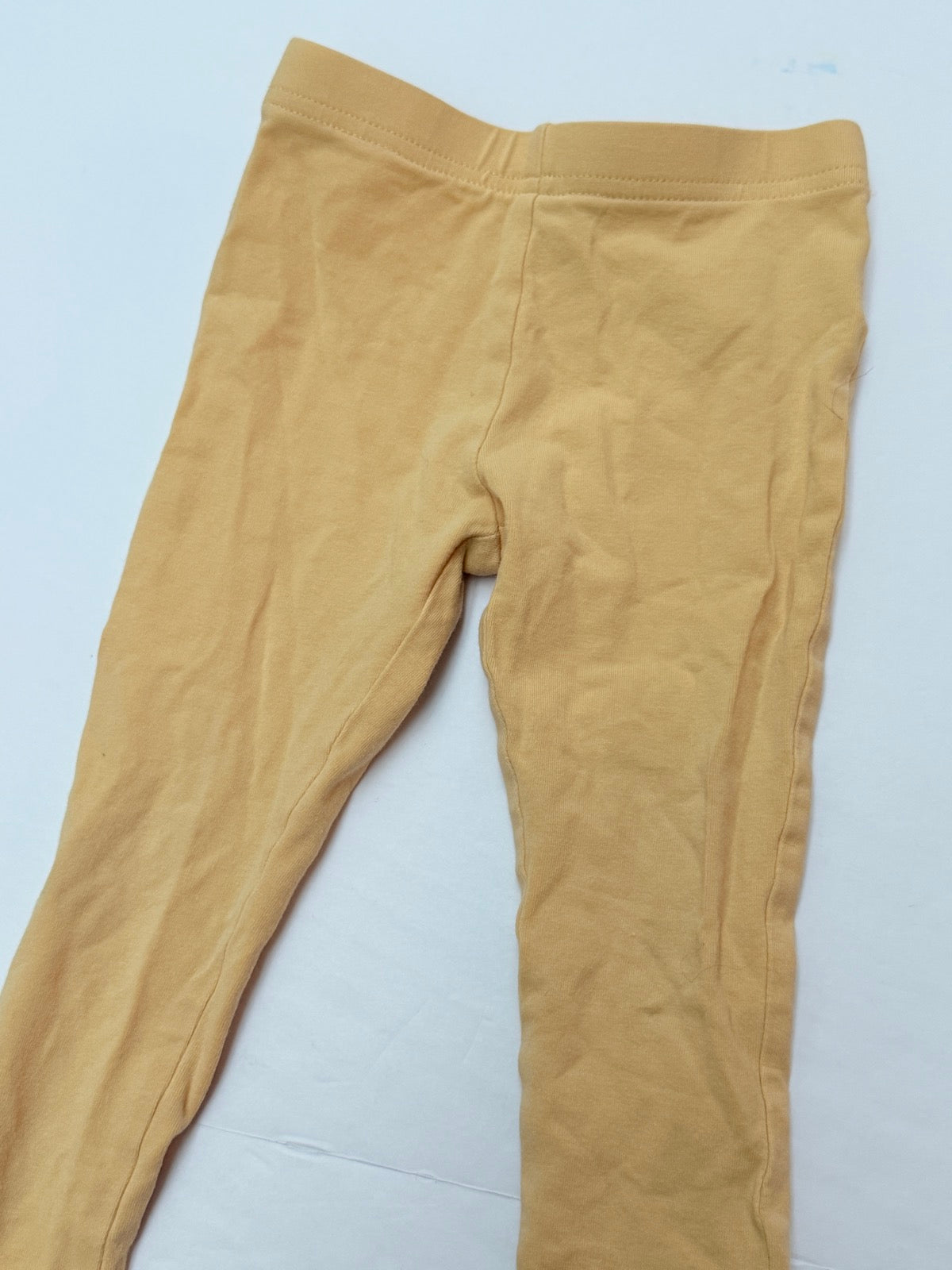 Mustard Leggings with Button Cuffs 24M