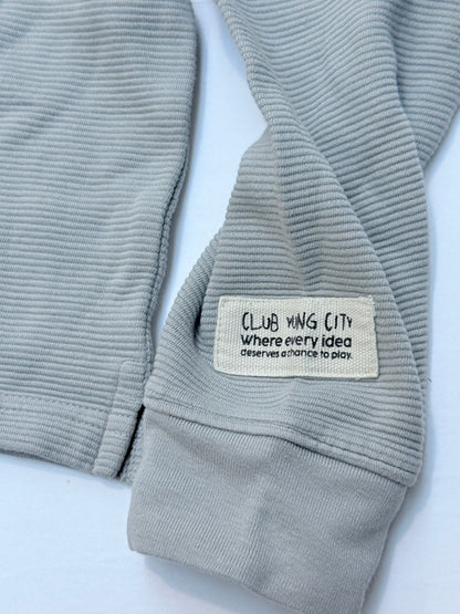 Zara Gray Ribbed Long Sleeve Top Size 8-9Y