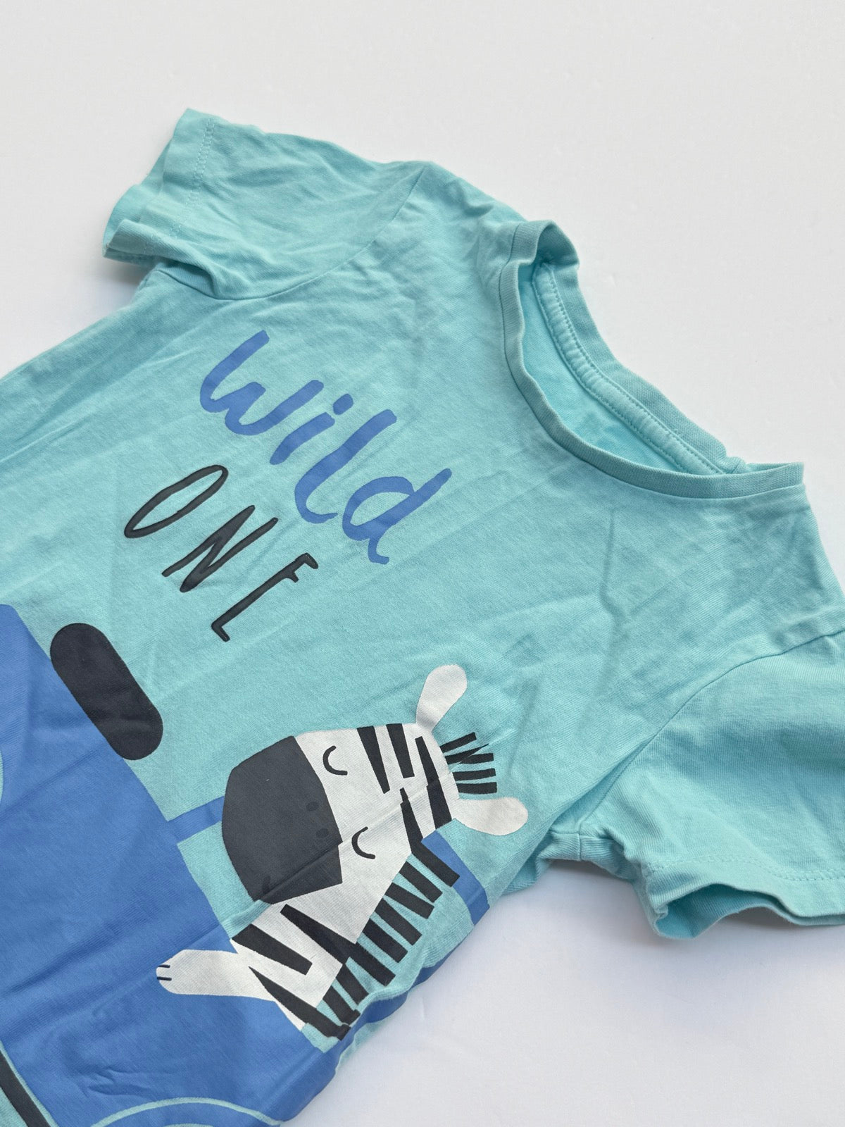 Dunnes Stores Wild One Zebra T-Shirt 2-3Y
