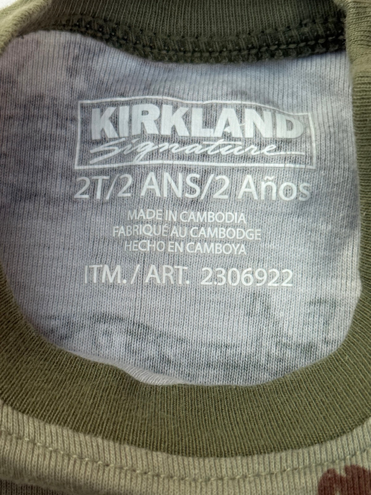 Kirkland Signature Dinosaur Pajama Set 2T