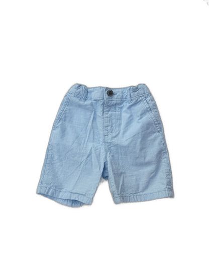 The Children's Place Light Blue Shorts 3T