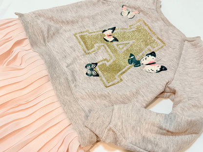 H&M Butterfly Sweatshirt Tutu Dress 2-4Y