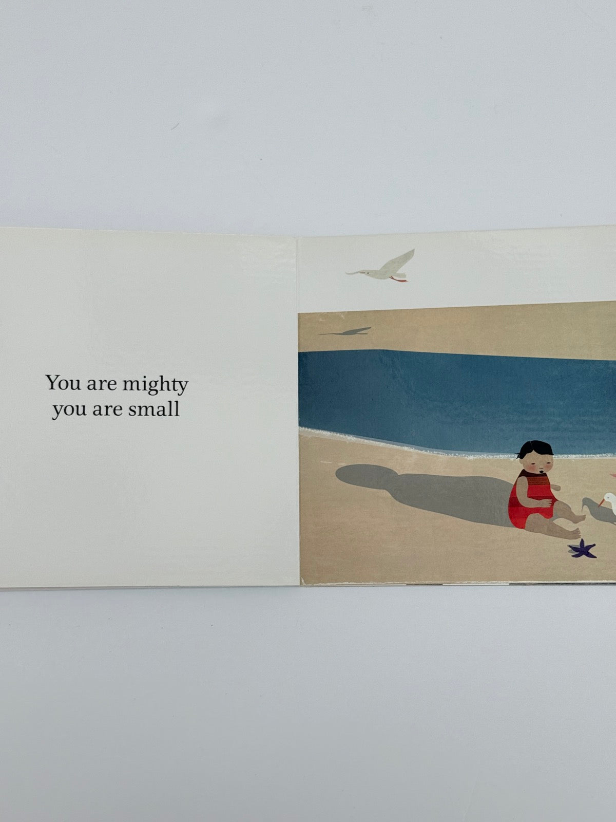 Richard Van Camp Little You