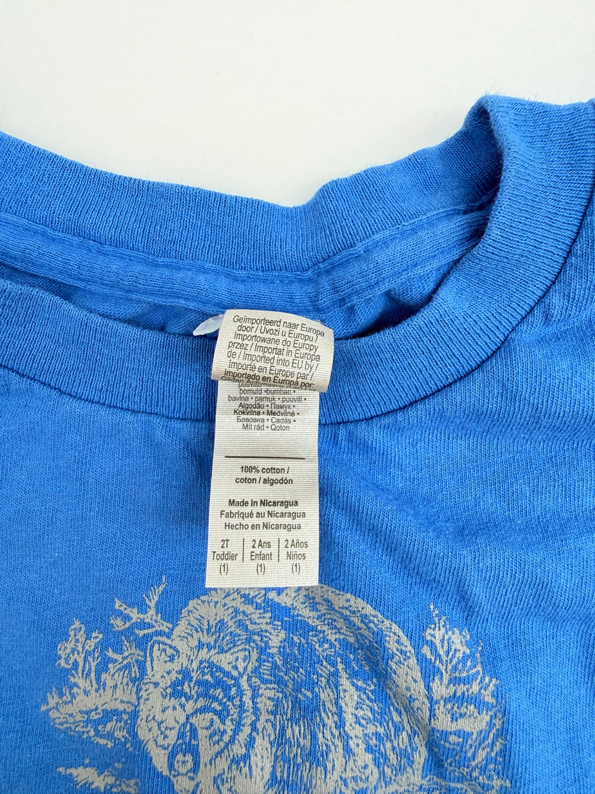 Gildan Dawsons Landing Bear T-Shirt 2T