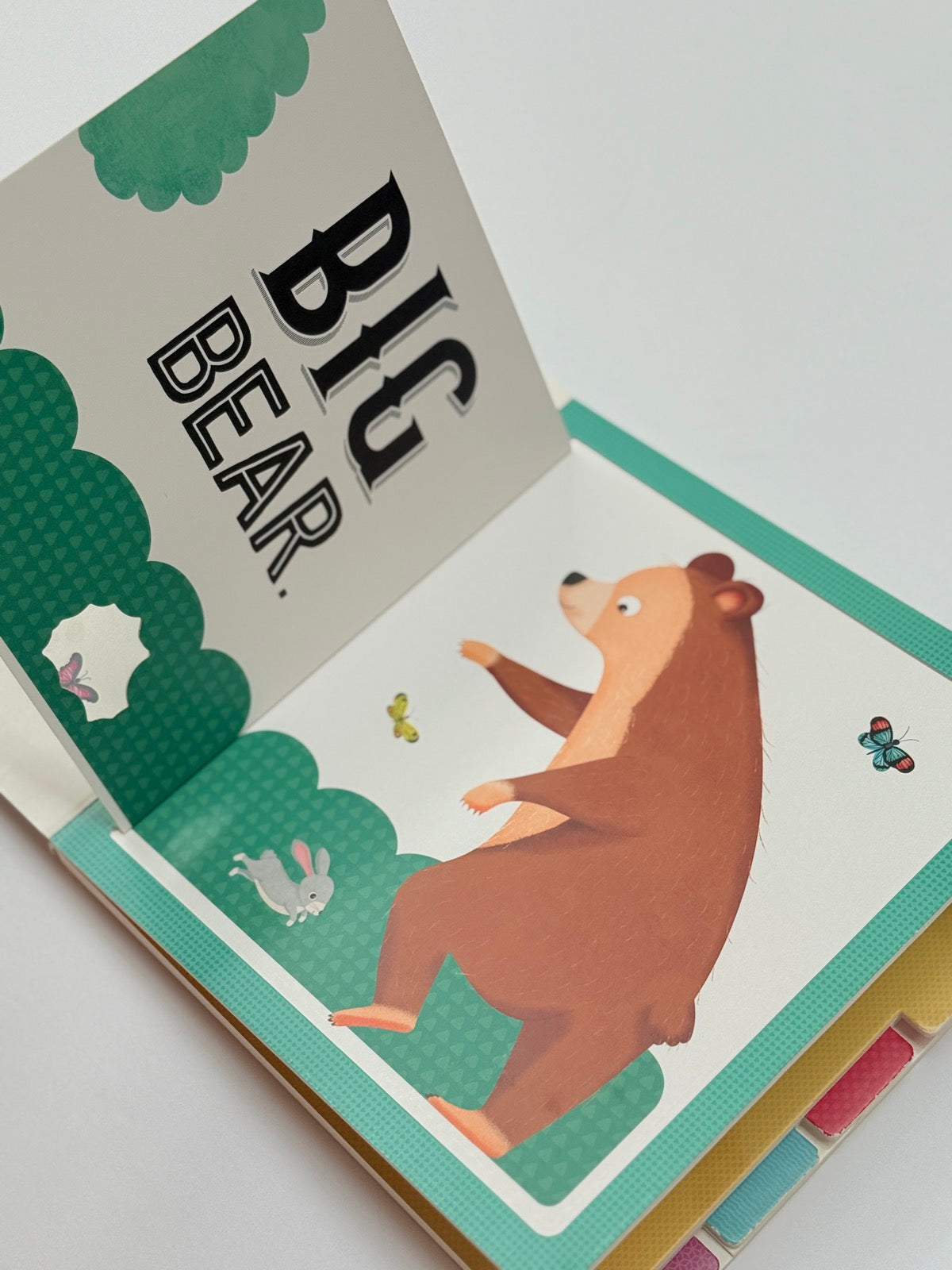 Little Rabbit Big Bear Lift-the-Flap Book