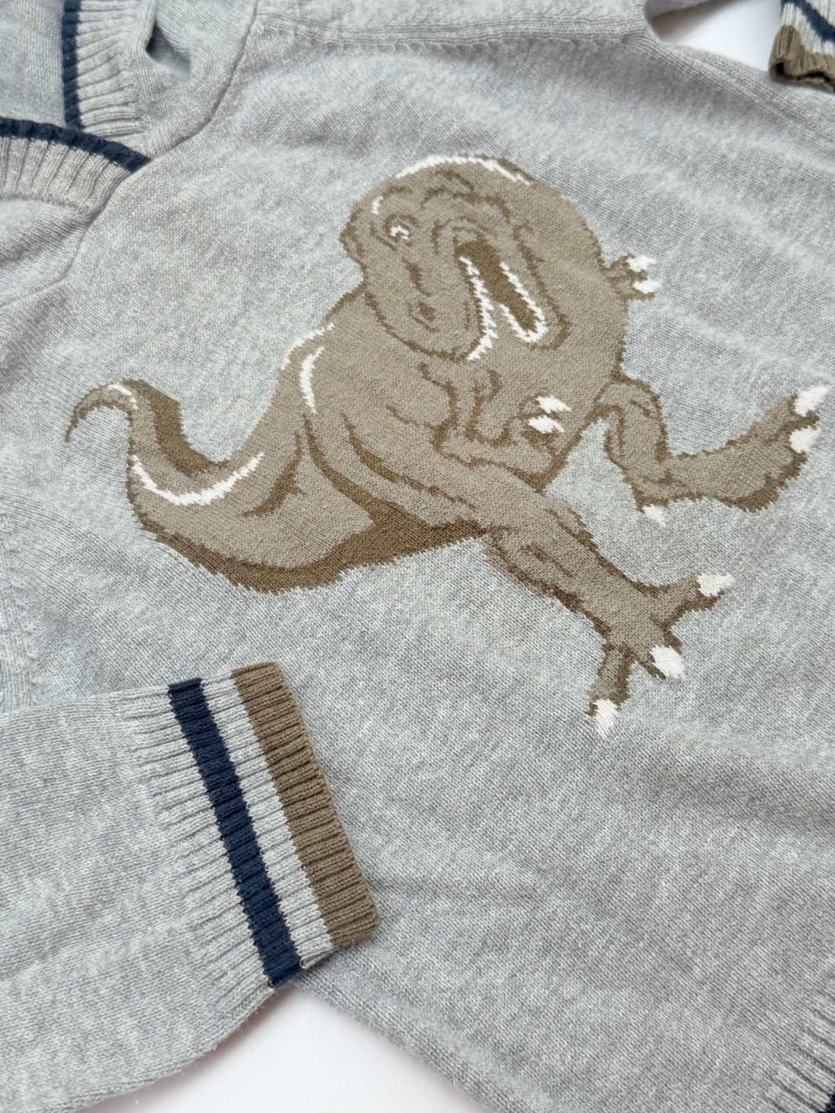Rorie Whelan Knit Cotton Dinosaur Hooded Sweater 2T
