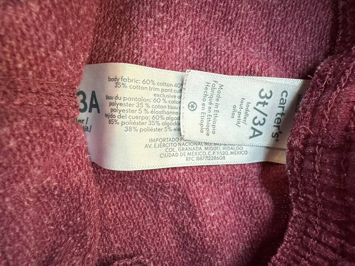 Carter's Maroon Jogger Pants 3T