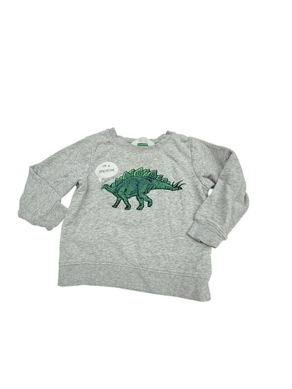 H&M Dinosaur Graphic Sweatshirt Size 2T